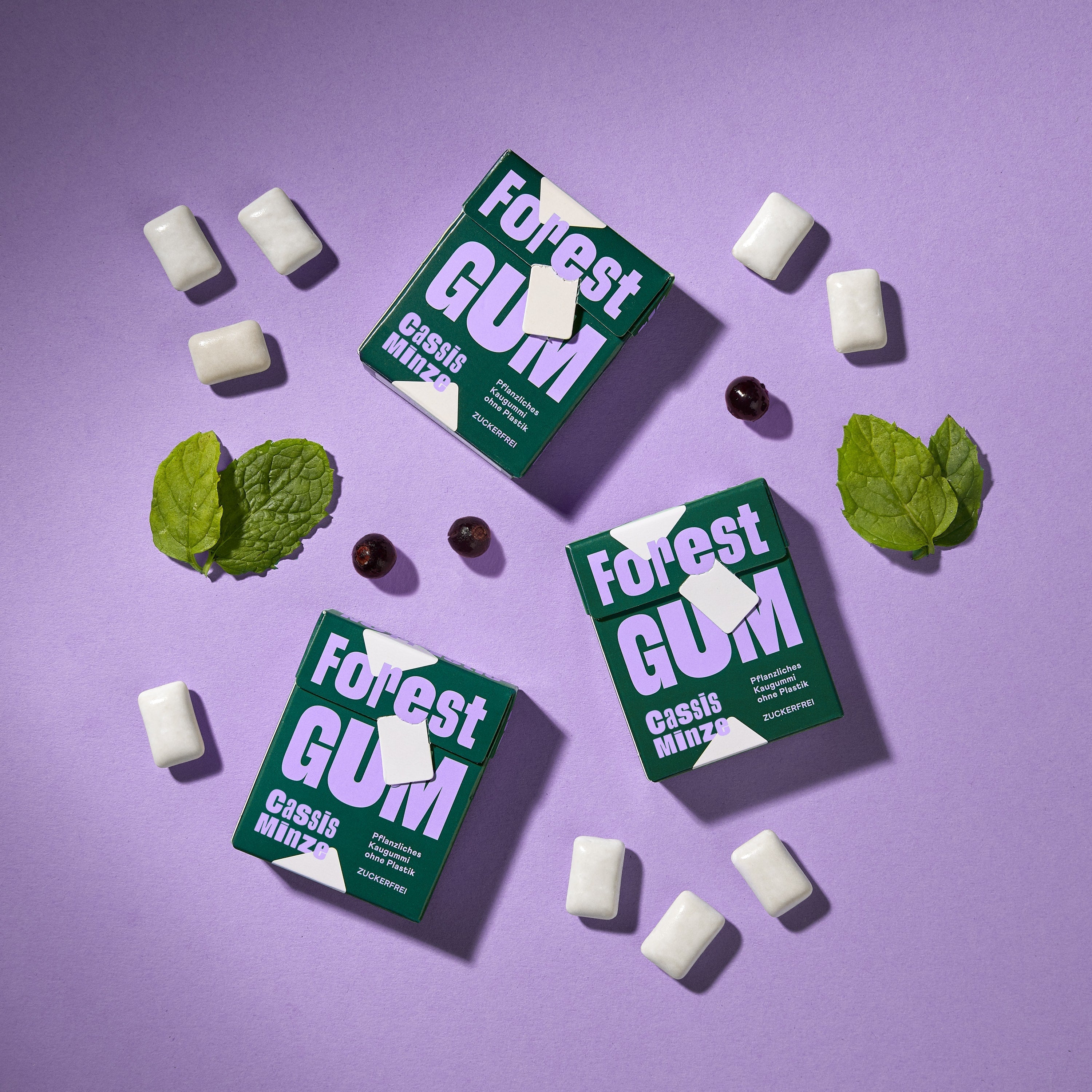 forestgum-kaugummi-9er-probierset-fruity-3-sorten image 7