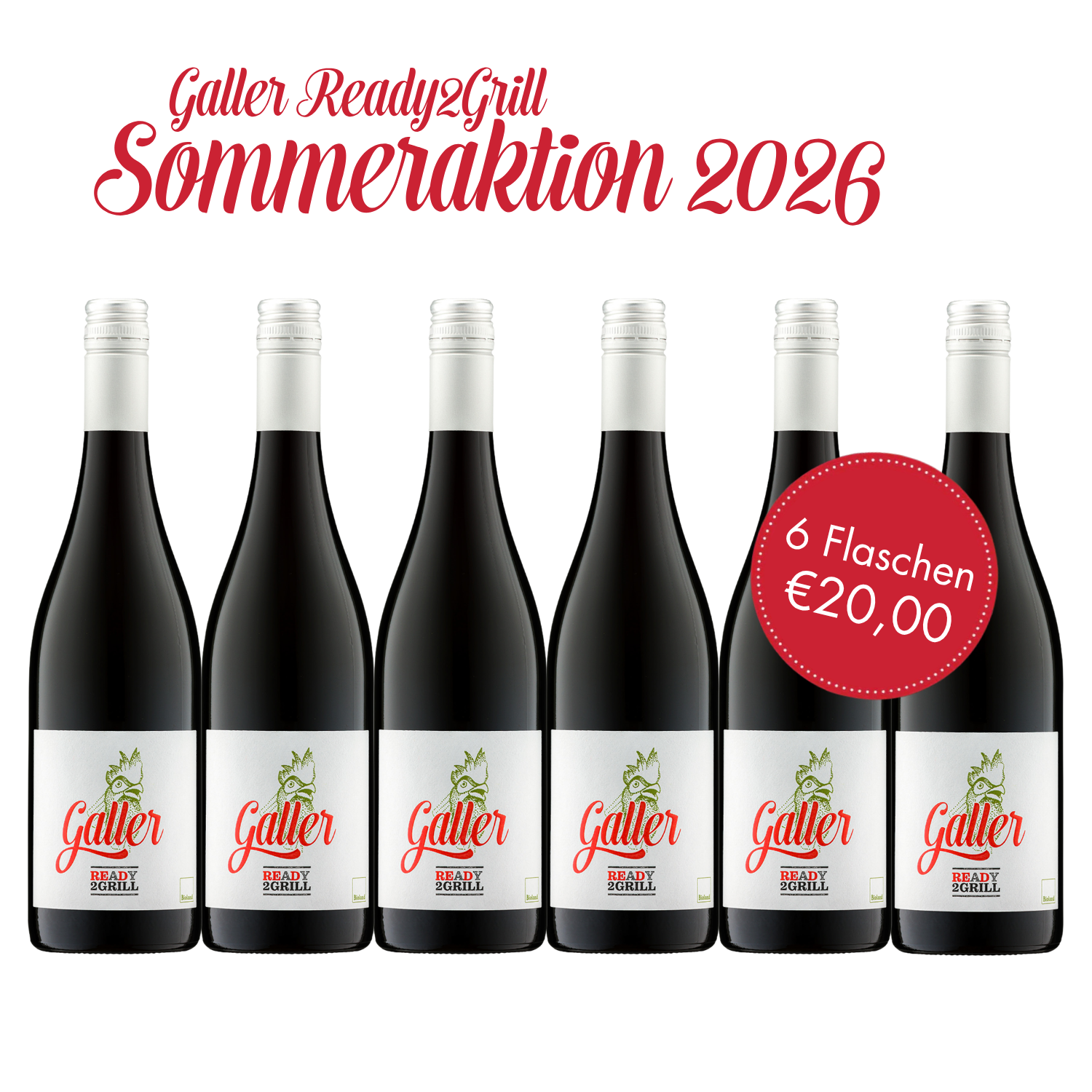 galler-ready2grill-dornfelder-bio-rotwein-sommerpaket-6x-0-75l image 1