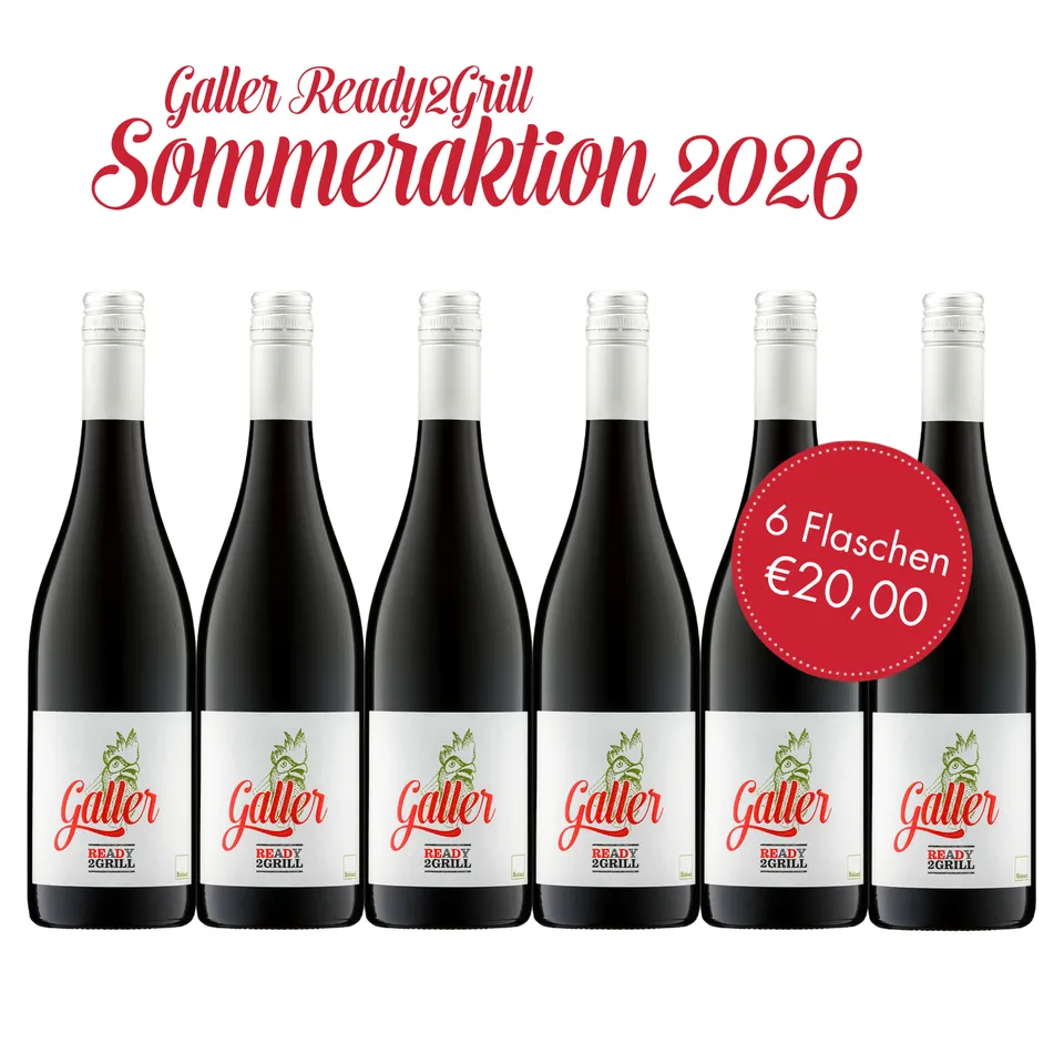 galler-ready2grill-dornfelder-bio-rotwein-sommerpaket-6x-0-75l image 1