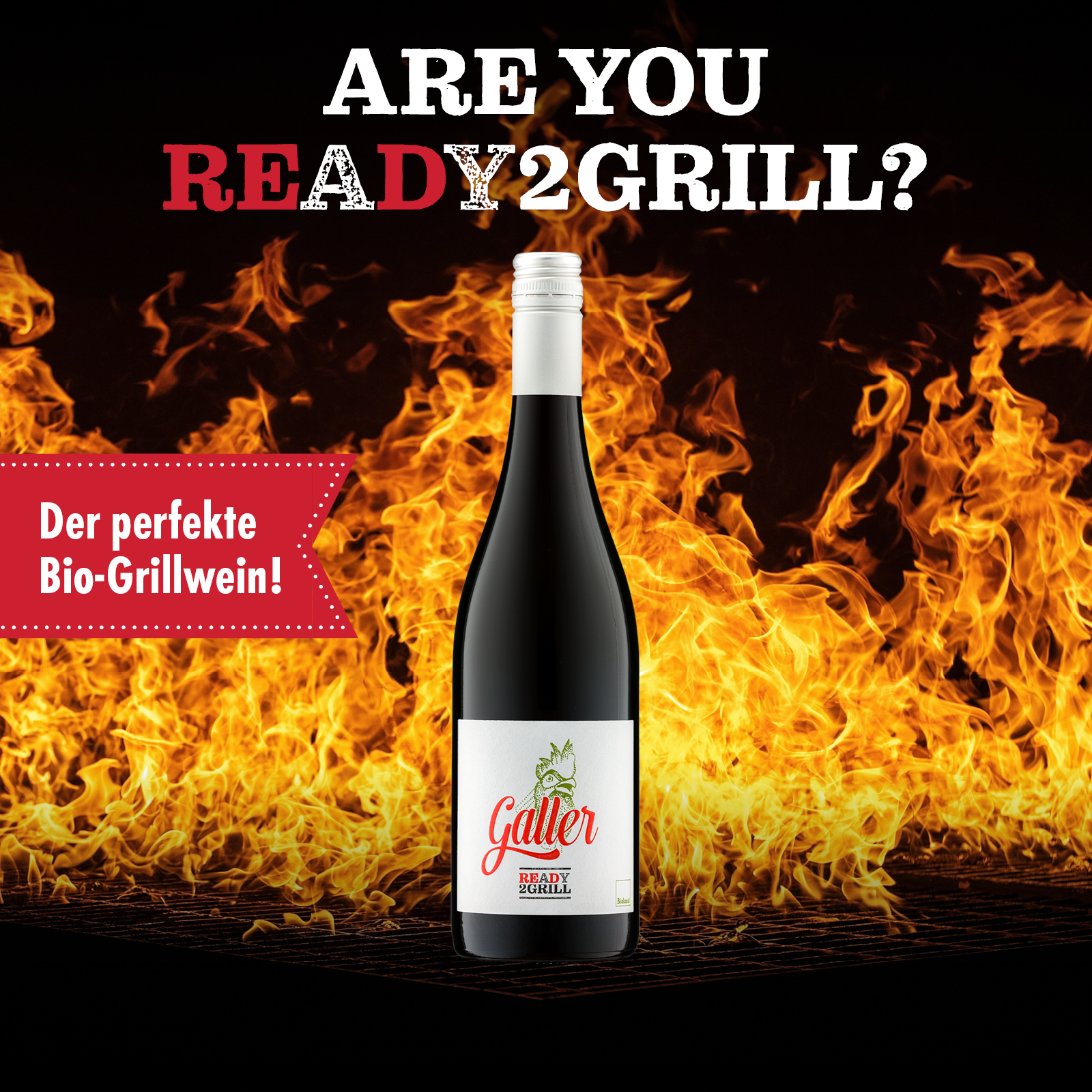 galler-ready2grill-rotwein-qba-trocken-0-75-l image 3